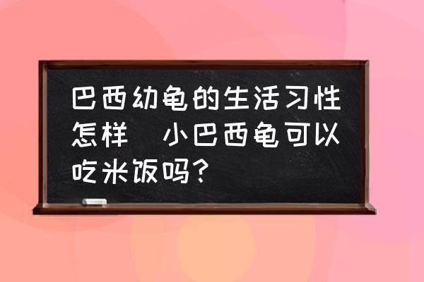 大白片能治療龍魚蒙眼嗎怎么用藥：龍魚蒙眼用什么藥最有效 龍魚百科 第7張