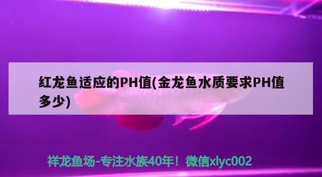 龍魚ph8.5：第28屆中國國際寵物水族展覽會5.91k2祥龍魚缸ph值 龍魚百科 第11張