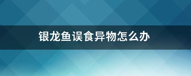 龍魚掉鱗潰爛：龍魚吃了異物怎么辦 龍魚百科 第8張