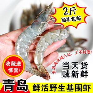 龍魚的厭食下大白片可以嗎：龍魚吃河蝦好還是吃蝦好， 龍魚百科 第1張