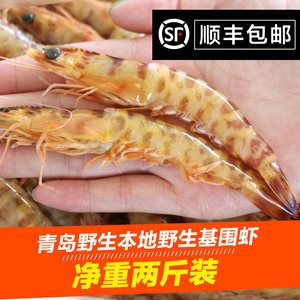 龍魚的厭食下大白片可以嗎：龍魚吃河蝦好還是吃蝦好， 龍魚百科 第4張