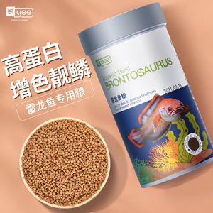 雷龍魚苗吃什么飼料：如何自制雷龍魚苗飼料，雷龍魚苗專用飼料品牌推薦 龍魚百科 第3張