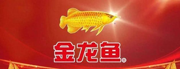 龍魚的養(yǎng)護與鑒賞作文：-龍魚吃東西少怎么回事兒，龍魚吃得少怎么辦 龍魚百科 第4張