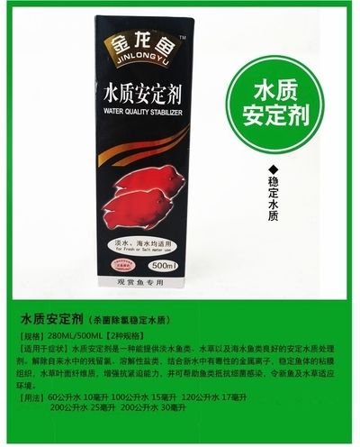 金龍魚用什么魚缸：養(yǎng)金龍魚的注意事項(xiàng) 龍魚百科 第9張