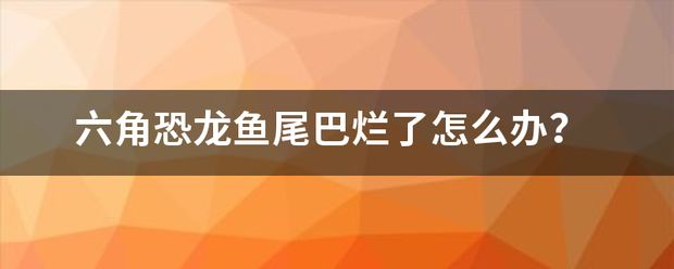 六角恐龍魚尾巴裂開出血：六角恐龍魚尾巴爛了怎么辦 龍魚百科 第9張