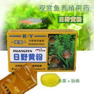 龍魚白點(diǎn)越來越大怎么回事?。糊堲~身上白點(diǎn)用什么藥 龍魚百科 第5張