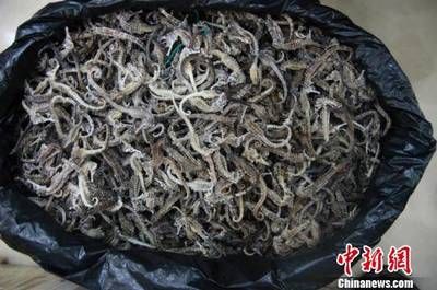 海龍魚干怎么吃：海龍魚干怎么吃海龍魚干的正確吃法)-海龍魚干的正確吃法 龍魚百科 第3張