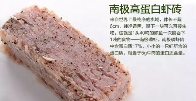 龍魚的魚鱗可以吃嗎：澳洲龍蝦是不是淡水生物？ 龍魚百科 第1張