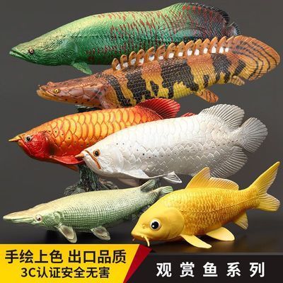 龍魚多久檢疫一次啊：龍魚吃什么上色快又好看， 龍魚百科 第4張