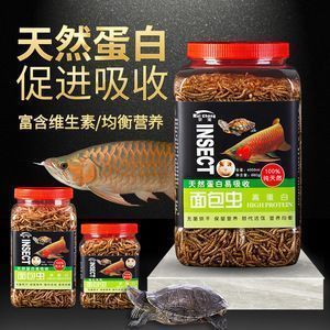 給龍魚補充維生素用什么好：養(yǎng)龍魚最好的維生素是什么 龍魚百科 第8張