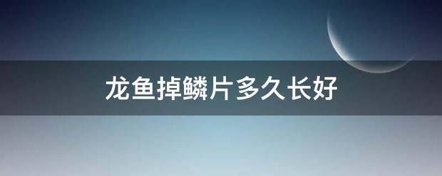 龍魚搭配什么魚最美觀：龍魚掉鱗后的恢復(fù)時間 龍魚百科 第12張