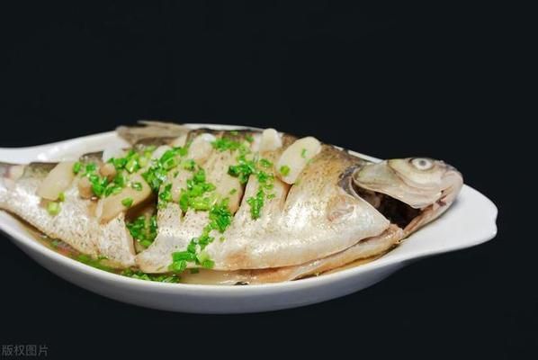 龍魚好處：養(yǎng)殖龍魚有什么好處？