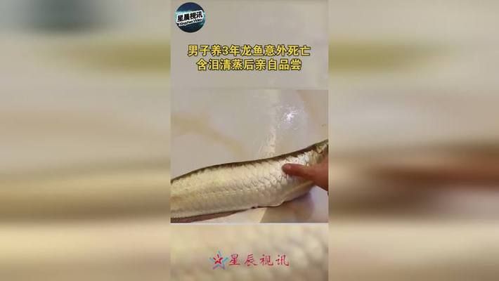 龍魚必定清驅(qū)蟲下多了：龍魚為什么會(huì)被咬死