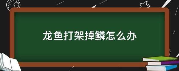 龍魚反腮怎么處理：龍魚撞缸掉鱗怎么辦 龍魚百科 第8張