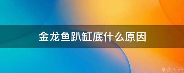 金龍魚趴缸是怎么回事：金龍魚趴缸底可能由多種原因引起金龍魚趴缸底是咋回事 龍魚百科 第2張