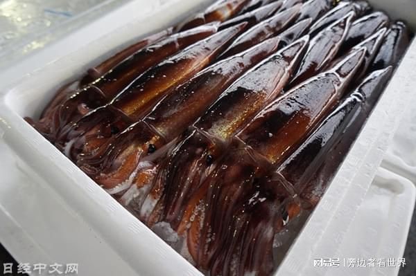 龍魚吃的食物多久消化：關(guān)于龍魚消化食物的一些詳細(xì)信息 龍魚百科 第2張