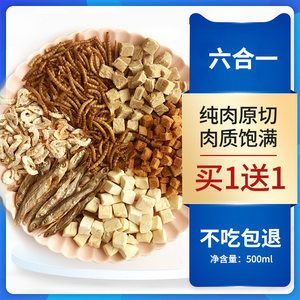 龍魚的養(yǎng)護(hù)和管理措施：龍魚不吃飼料與飼料搭配建議，龍魚不吃飼料怎么辦 龍魚百科 第5張