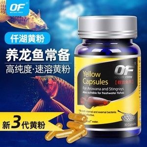 龍魚 白毛：龍魚白點(diǎn)病怎么辦 龍魚百科 第5張