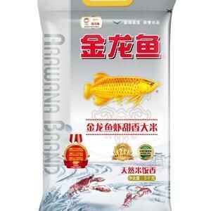 龍魚白點病怎么治：白點病加溫30后多久會掉 龍魚百科 第5張