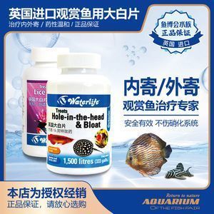 大白片能治療龍魚蒙眼嗎：龍魚眼睛有白色絮狀物用什么藥治(龍魚眼睛凸出來白色的) 龍魚百科 第8張