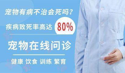 龍魚多長時間檢疫一次：龍魚的檢疫期間，龍魚的檢疫期間需要隔離觀察和水質(zhì)檢測 龍魚百科 第7張