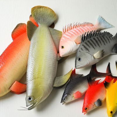 龍魚(yú)愛(ài)打架嗎：關(guān)于龍魚(yú)最愛(ài)吃什么水果和蔬菜 龍魚(yú)百科 第2張