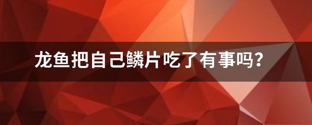 龍魚掉鱗潰爛怎么辦：龍魚吃下的鱗片能夠消化嗎 龍魚百科 第11張