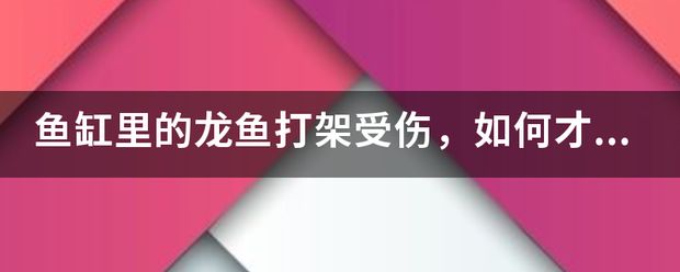 龍魚缸的水多久換一次：龍魚撞缸受傷了能自愈嗎 龍魚百科 第9張