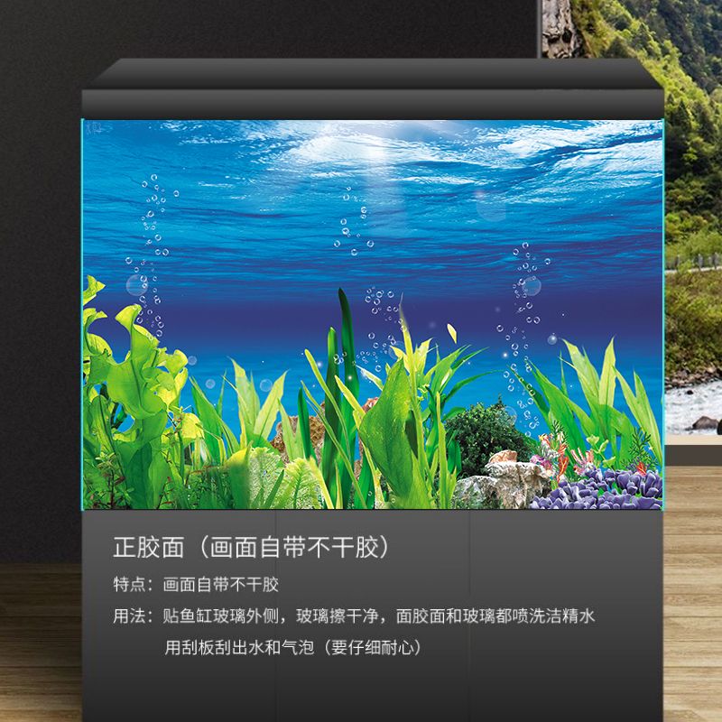 魚缸背景貼紙圖案推薦：魚缸背景貼紙圖案的選擇 魚缸百科 第3張