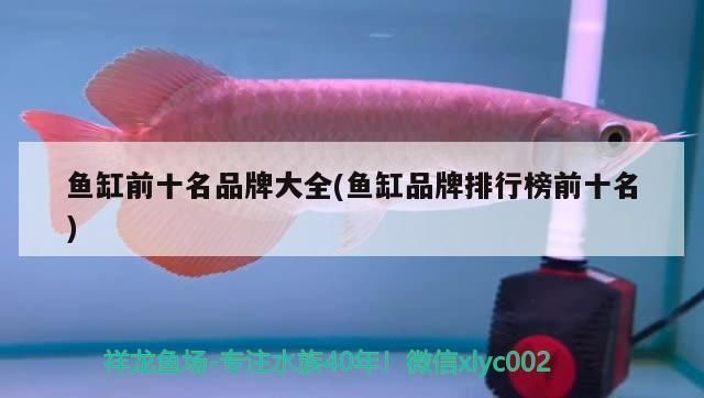 十大魚缸品牌排行榜：2024年十大魚缸品牌排行榜 魚缸百科 第3張