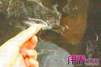 魚缸里好多棉絮狀絲是什么：魚缸內(nèi)出現(xiàn)棉絮狀絲狀物可能由多種原因引起 魚缸百科 第4張