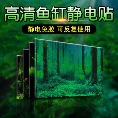 高級魚缸造景圖片：熱帶魚與水草搭配指南,魚缸造景水草選擇技巧 魚缸百科 第4張