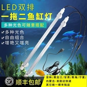 龍魚缸用什么燈比較好看：龍魚缸燈光如何調(diào)節(jié)色彩，潛水燈與頂燈搭配技巧