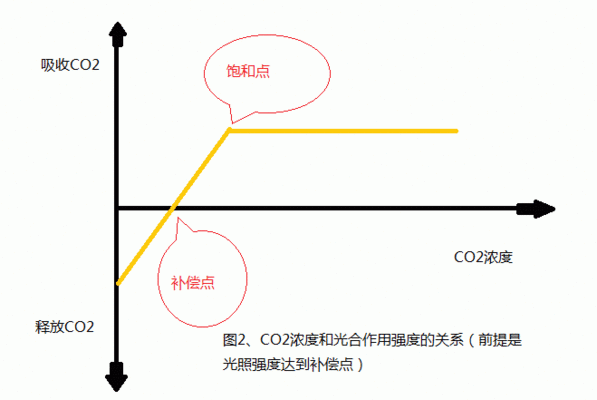 金龍魚為什么那么難養(yǎng)活：關(guān)于金龍魚的幾個(gè)問題 水族問答 第1張