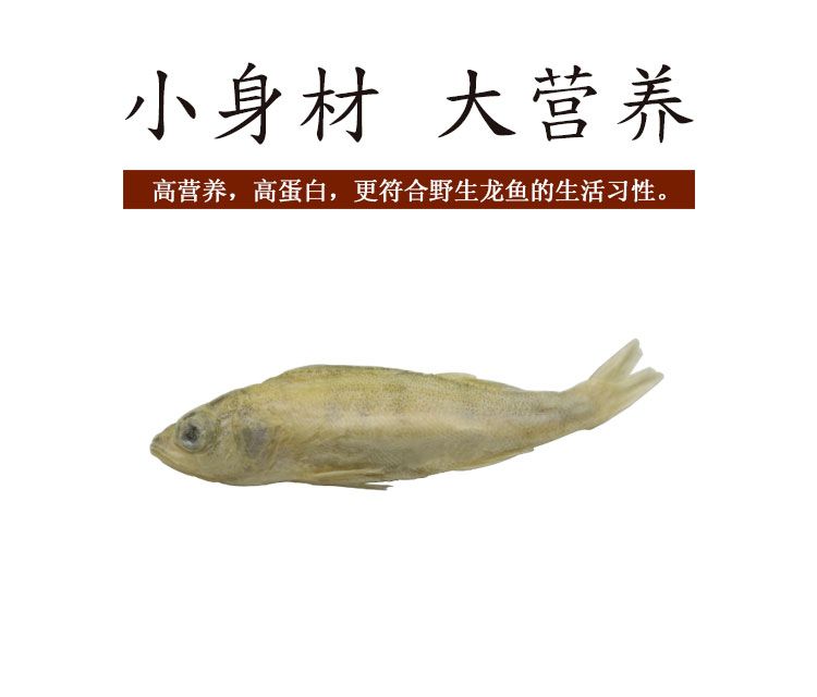 龍魚混養(yǎng)魚多了會掉眼嗎怎么辦：如何判斷龍魚是否營養(yǎng)不良 龍魚百科 第2張