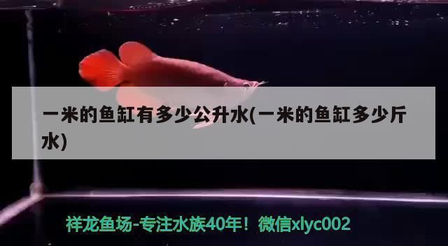 一米的魚缸多少公升水：一米魚缸水量計算公式 魚缸百科 第2張