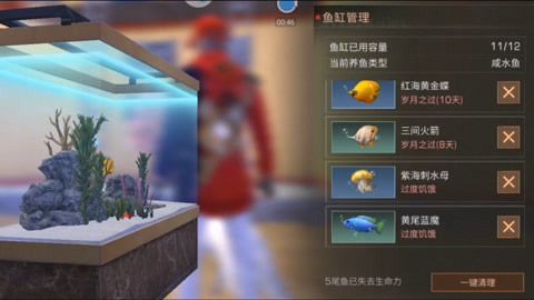 魚缸的榮耀：“魚缸的榮耀”是什么？ 魚缸百科 第1張