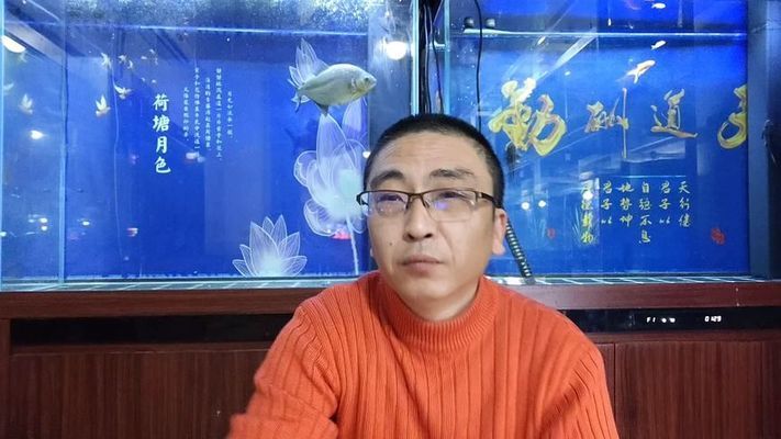 金龍魚喂多少：金龍魚一天喂幾次合適 水族問(wèn)答 第1張