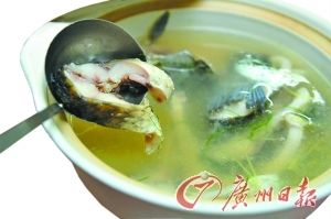 金龍魚喂多少飼料合適：關(guān)于金龍魚飼養(yǎng)的問題 水族問答 第2張