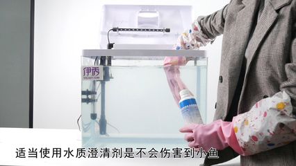 魚缸澄清劑怎么使用：如何使用魚缸澄清劑 魚缸百科 第3張