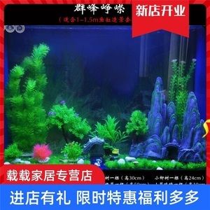 彩石魚缸怎么布景：如何挑選適合魚缸的水草，魚缸造景中石頭的選擇技巧 魚缸百科 第4張