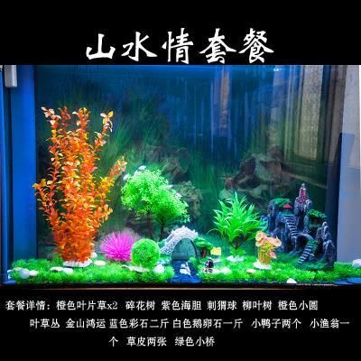 彩石魚缸怎么布景：如何挑選適合魚缸的水草，魚缸造景中石頭的選擇技巧 魚缸百科 第5張