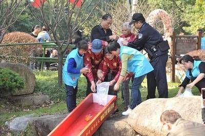 金龍魚喂食量表最新消息：金龍魚喂食量表更新 水族問答 第1張