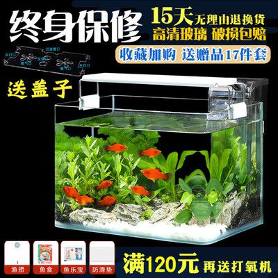 小魚缸使用方法視頻：小魚缸使用方法 魚缸百科 第2張