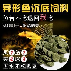 招財貓魚繁殖期飼料自制方法：招財貓魚繁殖期飼料配方優(yōu)化,如何判斷自制魚飼料質(zhì)量 龍魚百科 第2張