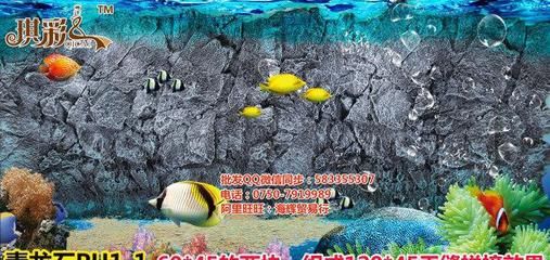 海輝魚缸：海輝魚缸怎么樣 魚缸百科 第4張