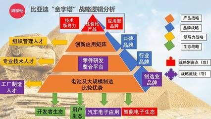 金龍魚下崽嗎：關(guān)于金龍魚下崽的問題 水族問答 第2張