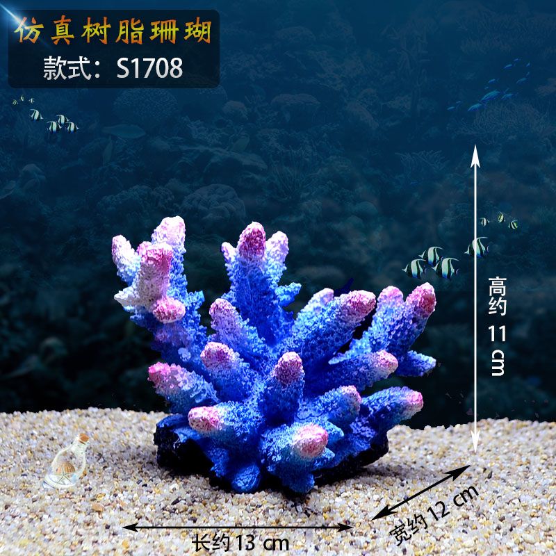 魚缸珊瑚造景圖片大全：魚缸珊瑚造景圖片大全大全 魚缸百科 第4張