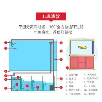 歐式魚缸價(jià)格及圖片：歐式魚缸價(jià)格及牌子 魚缸百科 第5張