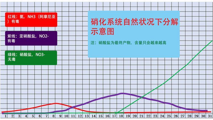 魚(yú)缸清潔后的水質(zhì)檢測(cè)方法：魚(yú)缸水質(zhì)檢測(cè)方法 魚(yú)缸百科 第4張